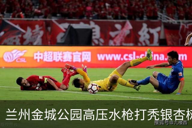 兰州金城公园高压水枪打秃银杏树，环卫公司负责人致歉：深刻检讨，两名涉事员工已停职
