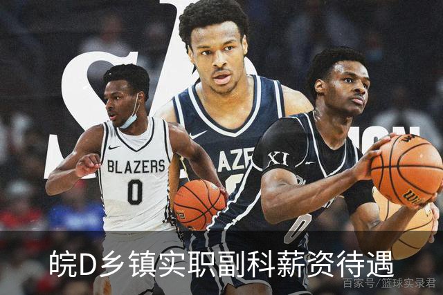 皖D乡镇实职副科薪资待遇