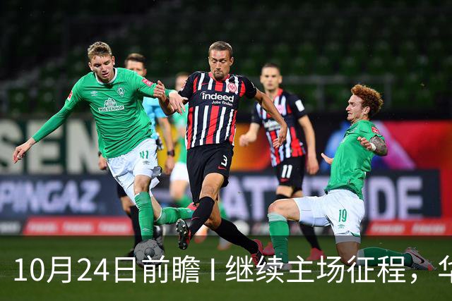 10月24日前瞻 I 继续主场征程，华南虎迎战宁波！牵手球童等会员独家活动开放报名